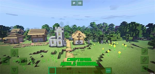 (Craftsman World Survival)