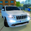 ʵճͣ(Real Car Parking C Hard Parking Game)