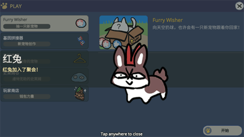 Ըģ(FurryWisher)