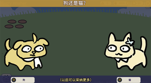 Ըģ(FurryWisher)