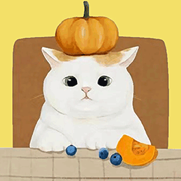 ʦ