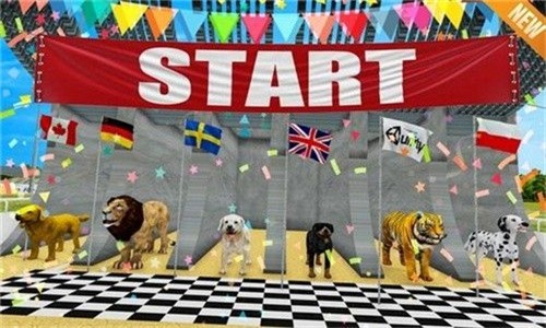 狮子赛跑3d(Lion Race 3d)