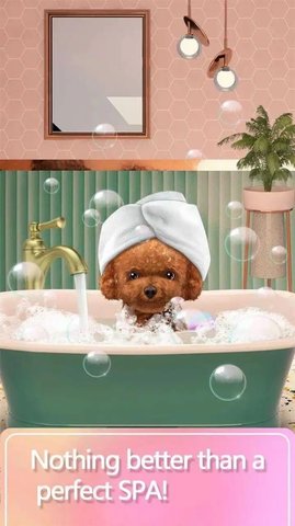 ﻯױʦ(Pet Makeup Master)