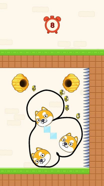 ȳС(Save the Pet)