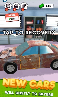Car Junk Resurrection