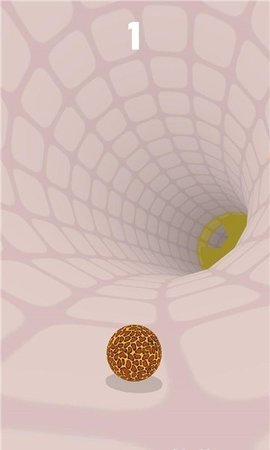 ת(RotAtoR)