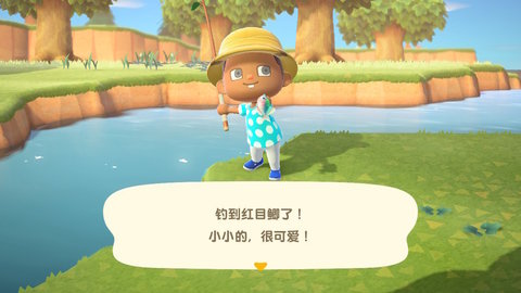 ֮ɭ(Pocket Camp)