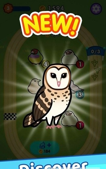 ԰(Idle Bird Racing)