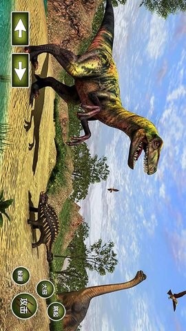 ʵģ3D