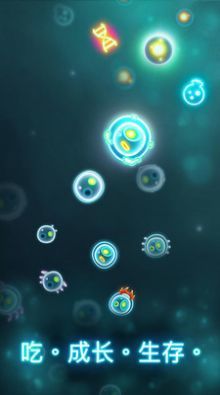 ΢ս(Microcosmum)