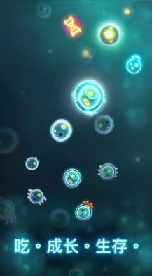 ΢ս(Microcosmum)