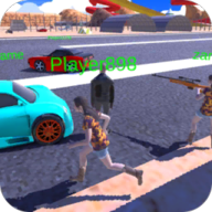 (Freeroam City)