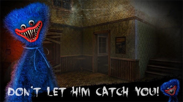 泰迪弗雷迪(Teddy Freddy)
