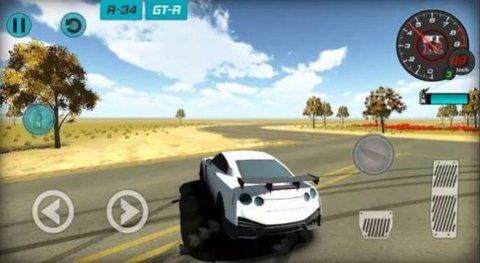 極限漂移駕駛(Extreme Drift Driving)