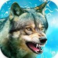 Ұģ(Wolf Simulation)