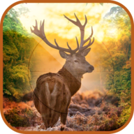 终极猎鹿3D(Deer Sniper Hunting 3D)