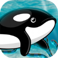 鲸鱼海洋探险(Orca Fish Home Adventure)
