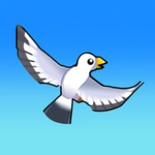 ӥ(Falconer Life)