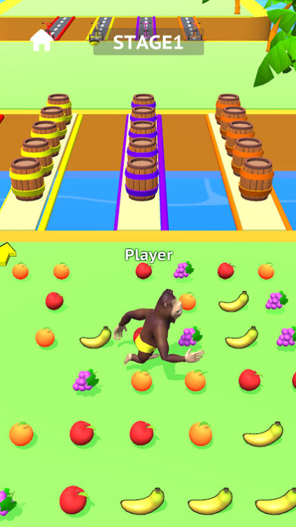 大猩猩赛跑(Gorilla Race)