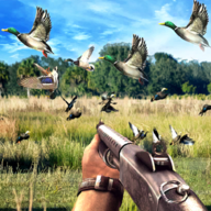 猎鸭射击模拟器(Duck Hunting challenge)