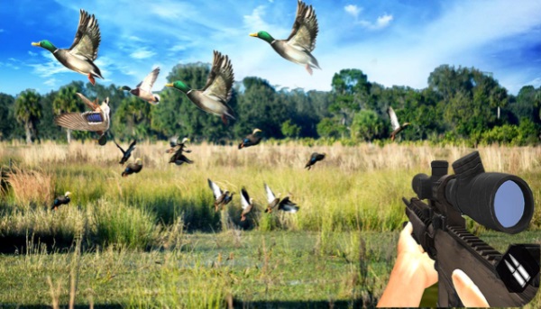 猎鸭射击模拟器(Duck Hunting challenge)
