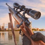 高楼现代狙击手3D(Modern Sniper 3D Sniper Shooting New Games 2021)