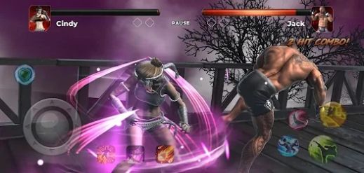 现代格斗(Modern Fighting)