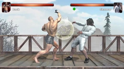现代格斗(Modern Fighting)