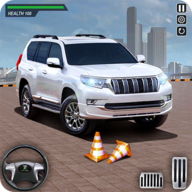 最佳停車大師(PradoParkingSimulator2021)