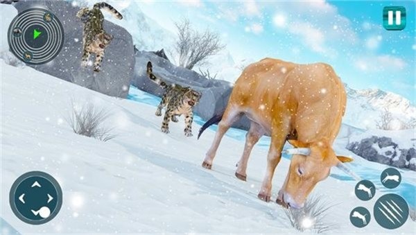 野生雪豹模拟器(Snow Leopard)