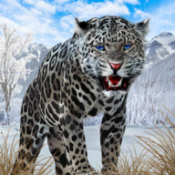 野生雪豹模拟器(Snow Leopard)