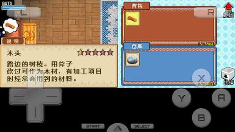 牧场物语之风之集市