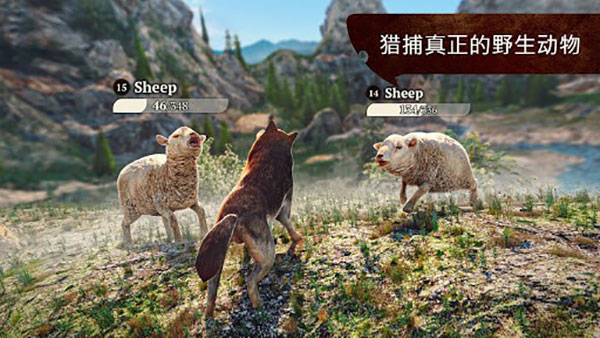 狼族(TheWolf)