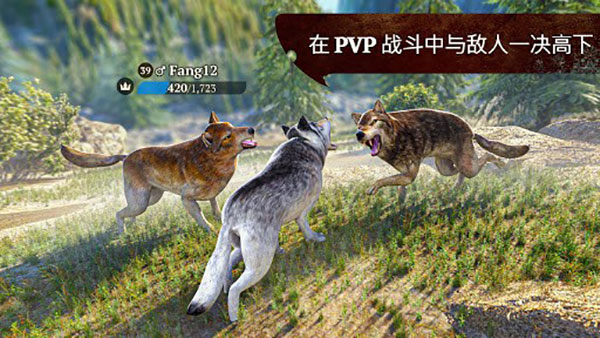 狼族(TheWolf)