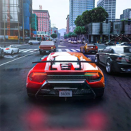 真實賽車駕駛(Real Car Driving)