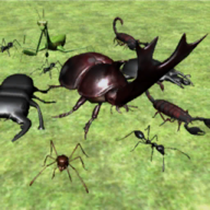 սģ(Bug Battle Simulator)