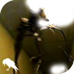 ұ(The Backrooms)