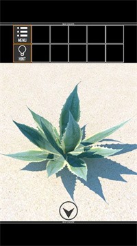 海上荒岛逃生Island2