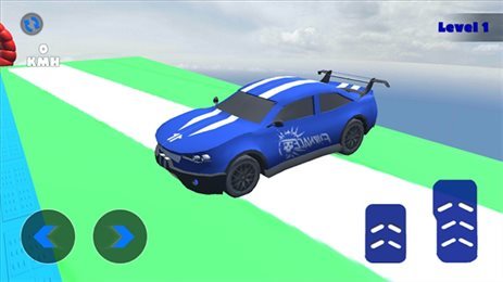 ӡʻ(Indian Race Car Driving)