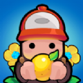 ڴ(Pocket Land)