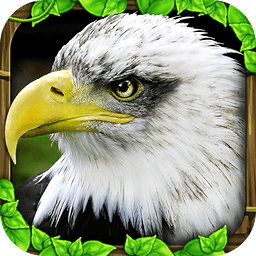 ӥģ2(Eagle Simulator)