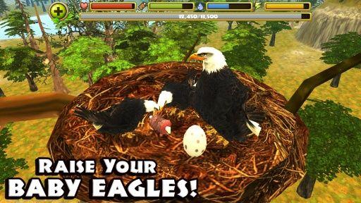ӥģ2(Eagle Simulator)