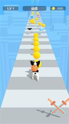 װܿ(Dress Up Pet)