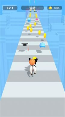 װܿ(Dress Up Pet)