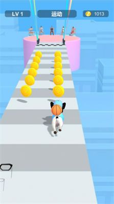 װܿ(Dress Up Pet)