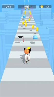 װܿ(Dress Up Pet)