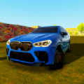 X6ģ(X6 Car Sim)