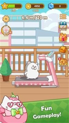 è䱼ܿٳ(Cat Run - Kitty Rush)