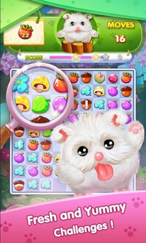 ɭˮ(Forest Fruit Mania)