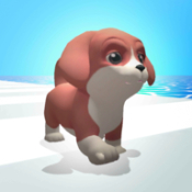 С(Puppy Run)